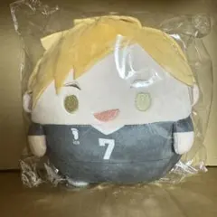 ハイキュー!! ぬいくじ 宮侑 C賞 ふわコロりん Msize