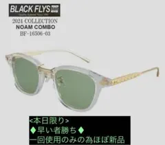【本日限り・早い者勝ち】サングラス/BLACK FLYS/RayBan
