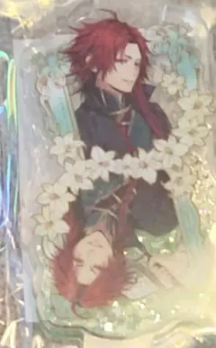 2026年最新】ピオフィオーレの晩鐘 楊 アクリルの人気アイテム - メルカリ