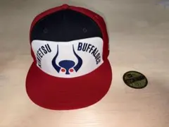 Item thumbnail for item c4aca0c2-d49c-4f82-99d8-21cb4e04599c