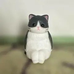 虚無。ハチワレ猫