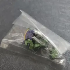 SDガンダム　ザク　ガチャガチャ