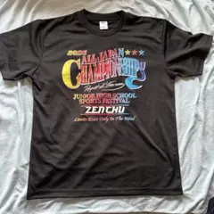 2024 ALL JAPAN CHAMPIONSHIPS Tシャツ Lサイズ