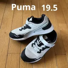 Item thumbnail for item 64c77218-1799-45ef-a0d9-e73aaf4ab78a