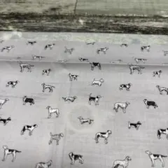 感謝SALE リバティ生地幅半分×19cmギリギリ