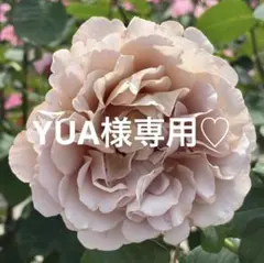 YUA様 リクエスト 4点 まとめ商品