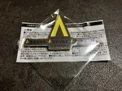 嵐 歴代ライブロゴマグネット Join the STORM - メルカリ