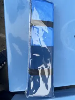 フロンターレクッション