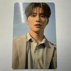 SEVENTEEN セブチ ディノ トレカ