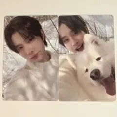 TWS LastBell ギョンミントレカセット