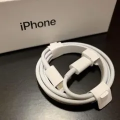 iPhone 충전기 순정 타입 C 라이트닝 케이블 Apple 정품