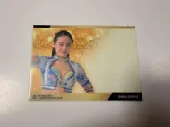 全108種 女子プロレス マリーゴールド 岩谷麻優 トレーディングカード