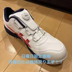 Mizuno 安全靴 P1GA2401901 26.5cm EEEE - メルカリ