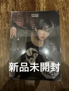 スキズ 合 HOP accordion チャンビン