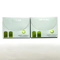 【新品未開封】 DR.VAPE ドクターベイプ モデル2 マスカット 2個セット