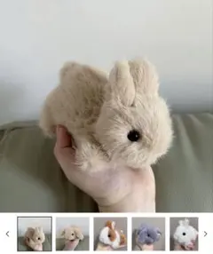 うさぎ ぬいぐるみ