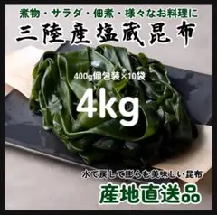 塩蔵茎わかめ】大容量4kg 産地直送 三陸産 どっしり400g×10袋 人気