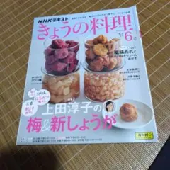 Item thumbnail for item 97ed6119-eaa1-485e-b43a-60751d79920a