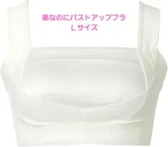 ブラデリスニューヨーク　楽なのにバストアップブラ　Ｌサイズのサムネイル