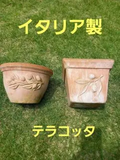 2026年最新】テラコッタ 鉢の人気アイテム - メルカリ