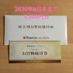 ヤマダ電機 株主優待券 5000円分