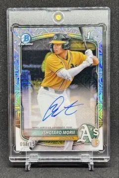 Item thumbnail for item 41f1db8c-77f1-465f-9f74-b678efba6ee9