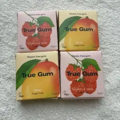True Gum プラスチックフリーガム 4個セットのサムネイル