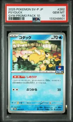 【PSA10】コダック ジムプロモ しめりけ 262/SV-P 102
