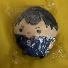 影山飛雄 ぬい