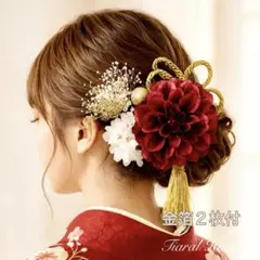 髪飾り 卒業式 成人式 赤 ダークレッド振袖 ハンドメイド[金箔2枚付]水引 袴