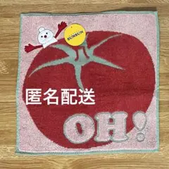 パペットスンスン タオル美術館　ハンドタオル タオルハンカチ　ノンノン　トマト