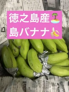 2026年最新】バナナの人気アイテム - メルカリ