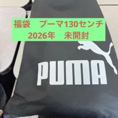 Item thumbnail for item 96e0ab10-9fef-4df8-9be2-bfe08e77404e