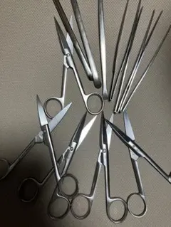 Item thumbnail for item 1bfb6dca-ce44-4a46-98fe-c220441a0ee2