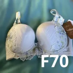 レシアージュ　2821シリーズ　F70のサムネイル