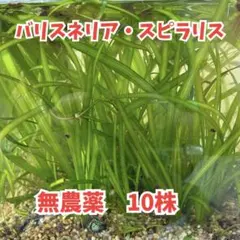 s.cross.sx様 リクエスト 5点 まとめ商品