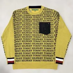 トミーヒルフィガーゴルフ 裏地付きニット