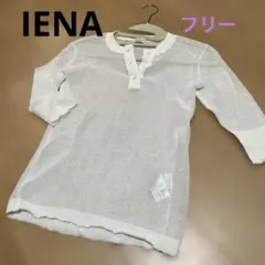 ⭐︎IENA 白カットソー　フリー