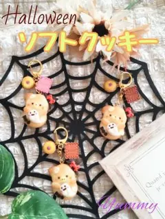 Halloween♡ソフトクッキー♡　こぐま　フェイクスイーツ　チャーム