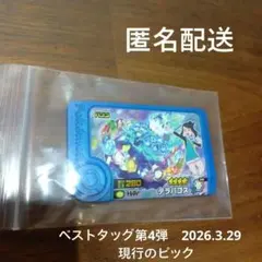 ポケモンフレンダ　テラパゴス ベストタッグ第4弾　トレジャー　テラスタル