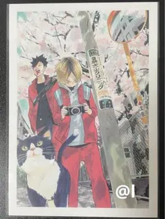 ハイキュー展　ポストカード　黒尾　孤爪