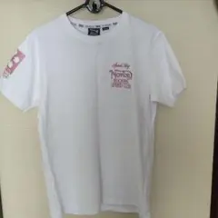 Item thumbnail for item 99b716ad-40e5-4af4-a30d-06836d69531e