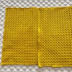 Item thumbnail for item 1a0d2f49-bcc2-4f0a-bfcf-1fee8937b1e2