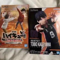 ハイキュー!! ハイプレミアムフィギュア 黒尾鉄朗 孤爪研磨 日向翔陽