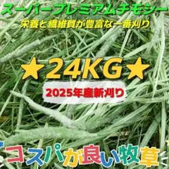 Item thumbnail for item 87743af5-7815-49fb-a36d-d2a9c296f6e8