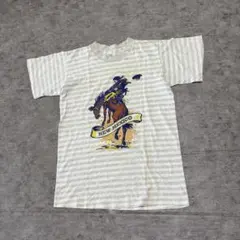 90s USA製 DELTA シングルステッチ カウボーイ Tシャツ ボーダー