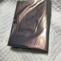 Item thumbnail for item 0ee5c686-0fa7-4b66-89f2-4e187058d48f