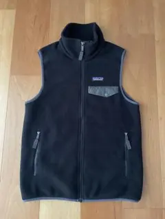 2026年最新】パタゴニアシンチラベストの人気アイテム - メルカリ