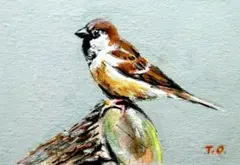 雀（スズメ）の絵画 油絵 手描き アート作品 - メルカリ