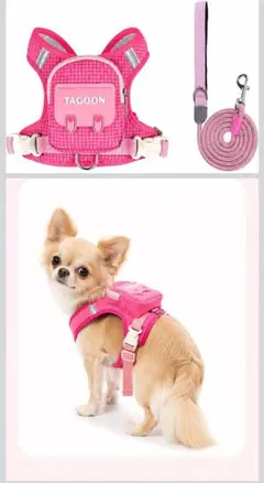 小型犬用 ハーネス＆リード Sサイズ ピンク